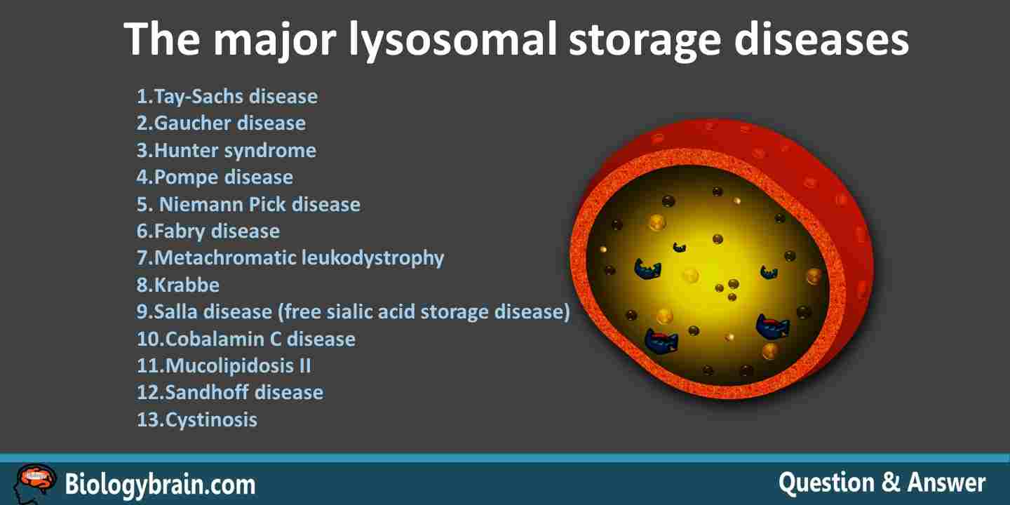 What are lysosomal storage diseases