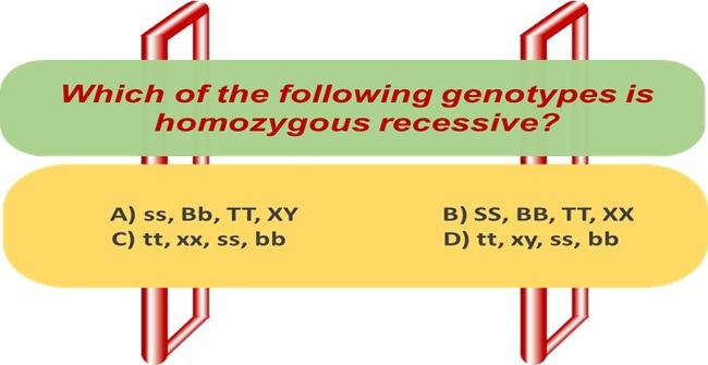 Which of the following genotypes is homozygous recessive