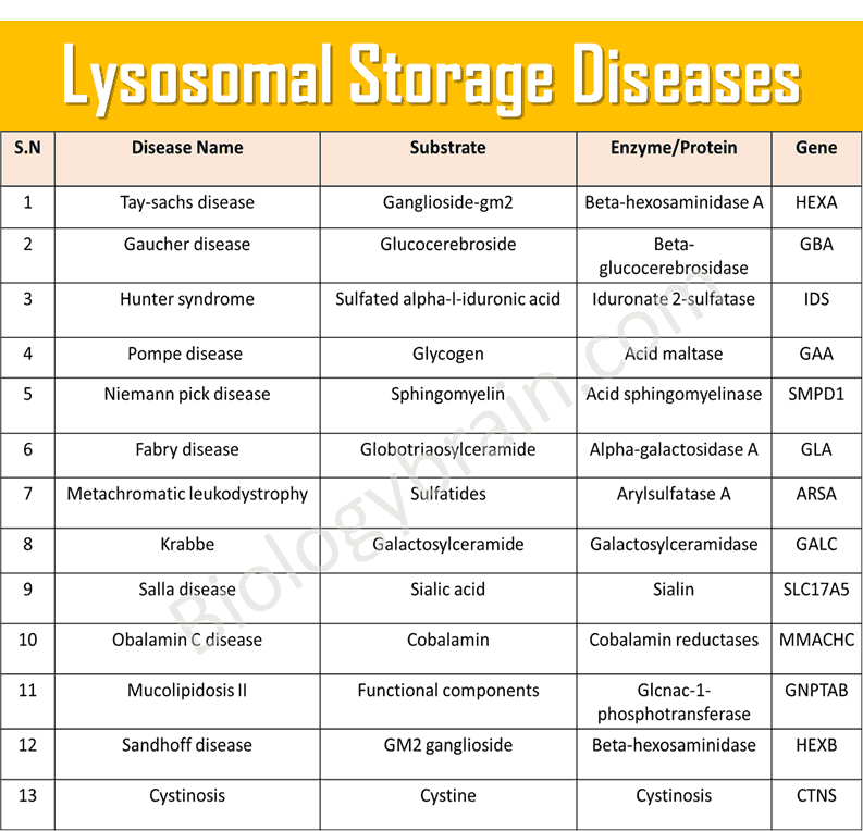 list of lysosomal storage disease	